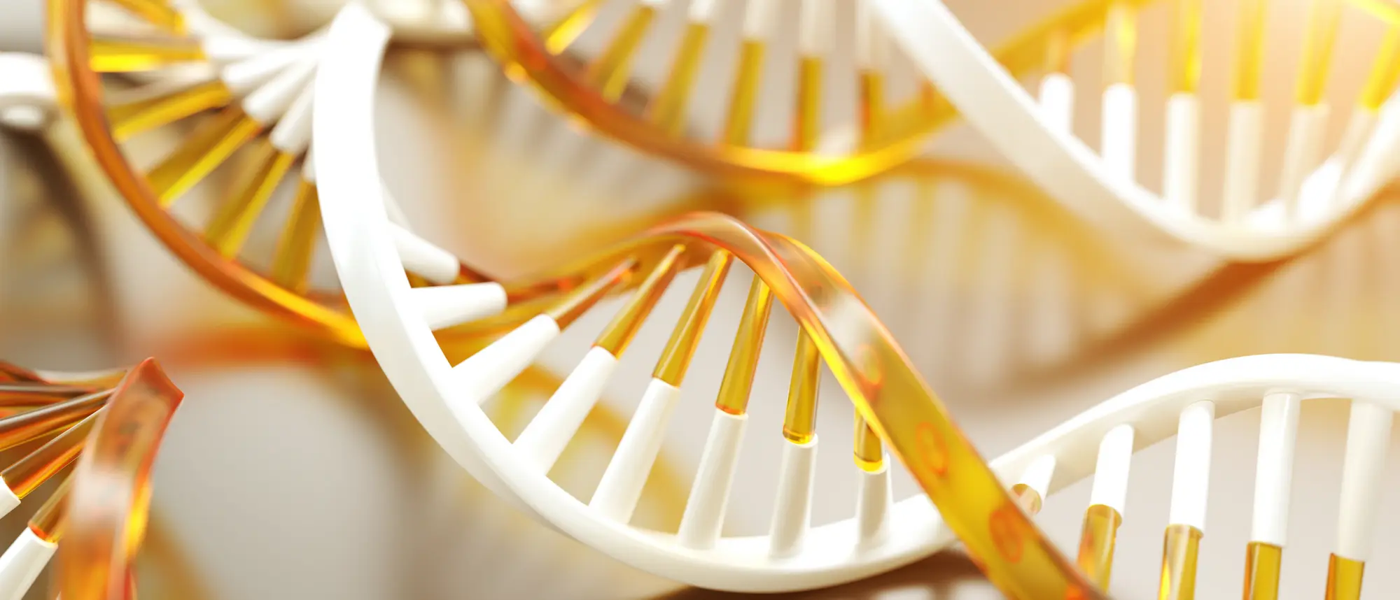 DNA Structures