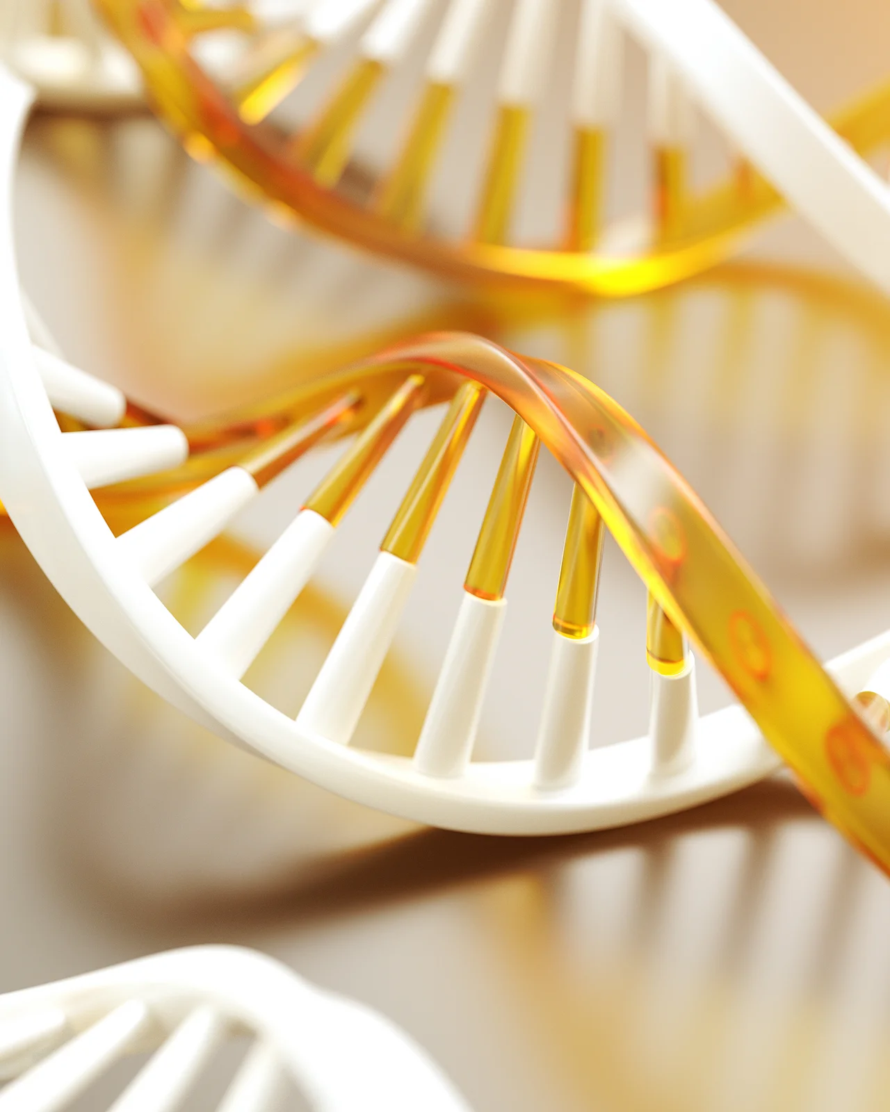 DNA Structures